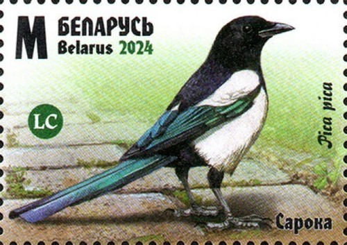 2024 Belarus Birds of Belarus - Corvids MNH - Picture 3 of 5