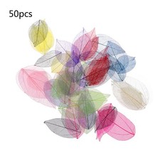 50 Pieces Natural Skeleton Leaves Exquisite Wedding Gift Box Filler Materials