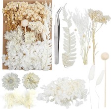 Dried Flowers,Dried Flowers Set for DIY Scrapbook Accessories Multi Color