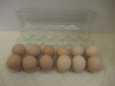 Chicken Eggs - Empty Real Blown Eggs Multiple Colors Crafts Easter - 12 Eggs