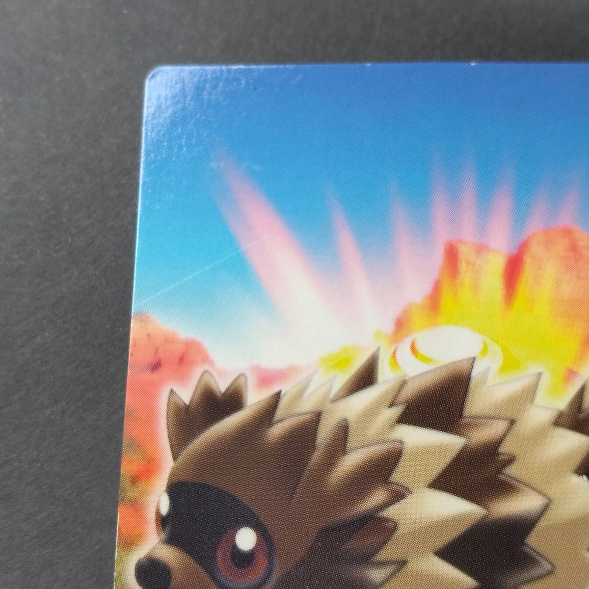 Zigzagoon Pokemon Zukan Card Japanese No.019 Rare Nintendo From