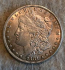 1881 MORGAN SILVER DOLLAR – TONED – CLASSIC U.S. SILVER (RAW)