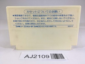 AJ2109 The Castle Excellent NES Famicom Japan