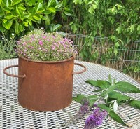 Deko Kochtopf Zum Bepflanzen 20X34Cm Edelrost Rost Pflanztopf Blumentopf Topf