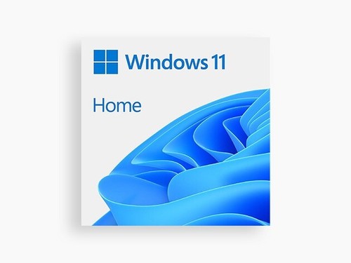 Windows 11 Home 64 Bit (Standard License)