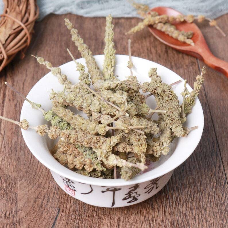 Organic Herbal Fineleaf Schizonepeta Herb Herbal Schizonepetae Healthy Tea