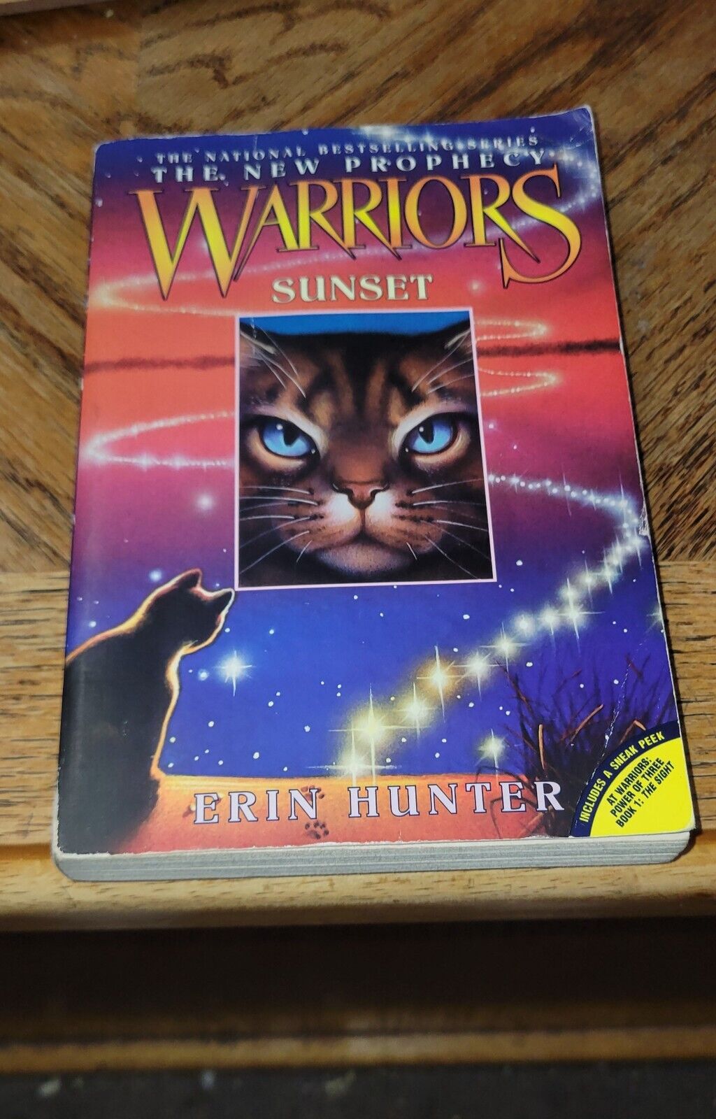 Warriors The New Prophecy Sunset Book