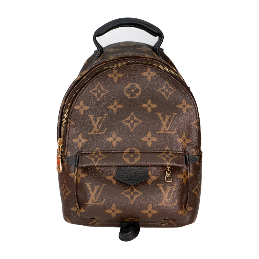 Louis Vuitton Canvas 2022 Monogram Mini Palm Springs Backpack Crossbody Bag