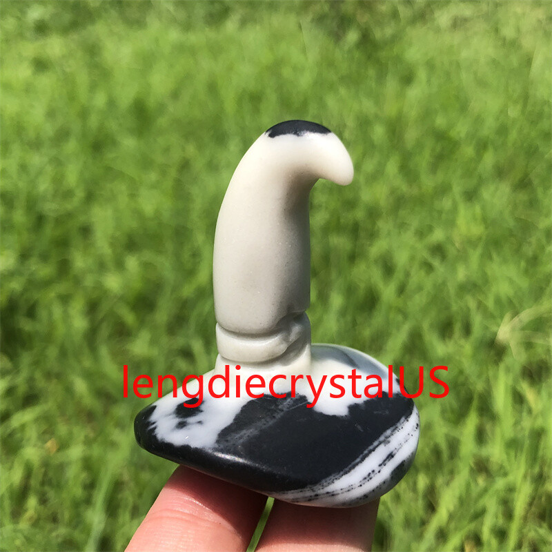 Picture 6 of 12