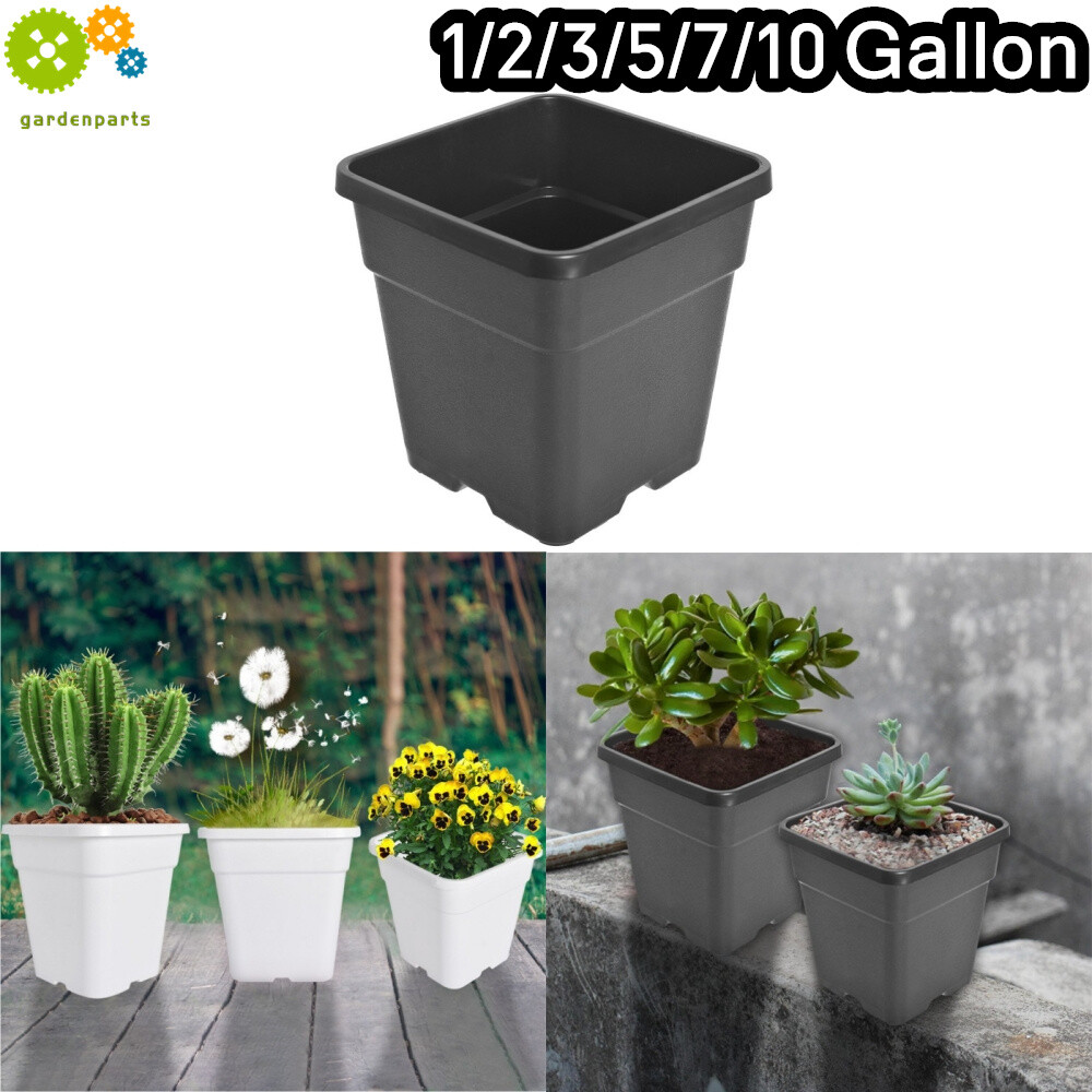 10 gallon plant pot dimensions Smart Pot&reg; w/Handles (Blue) 10-Gallon Fabric Planter – Park Seed main image 1