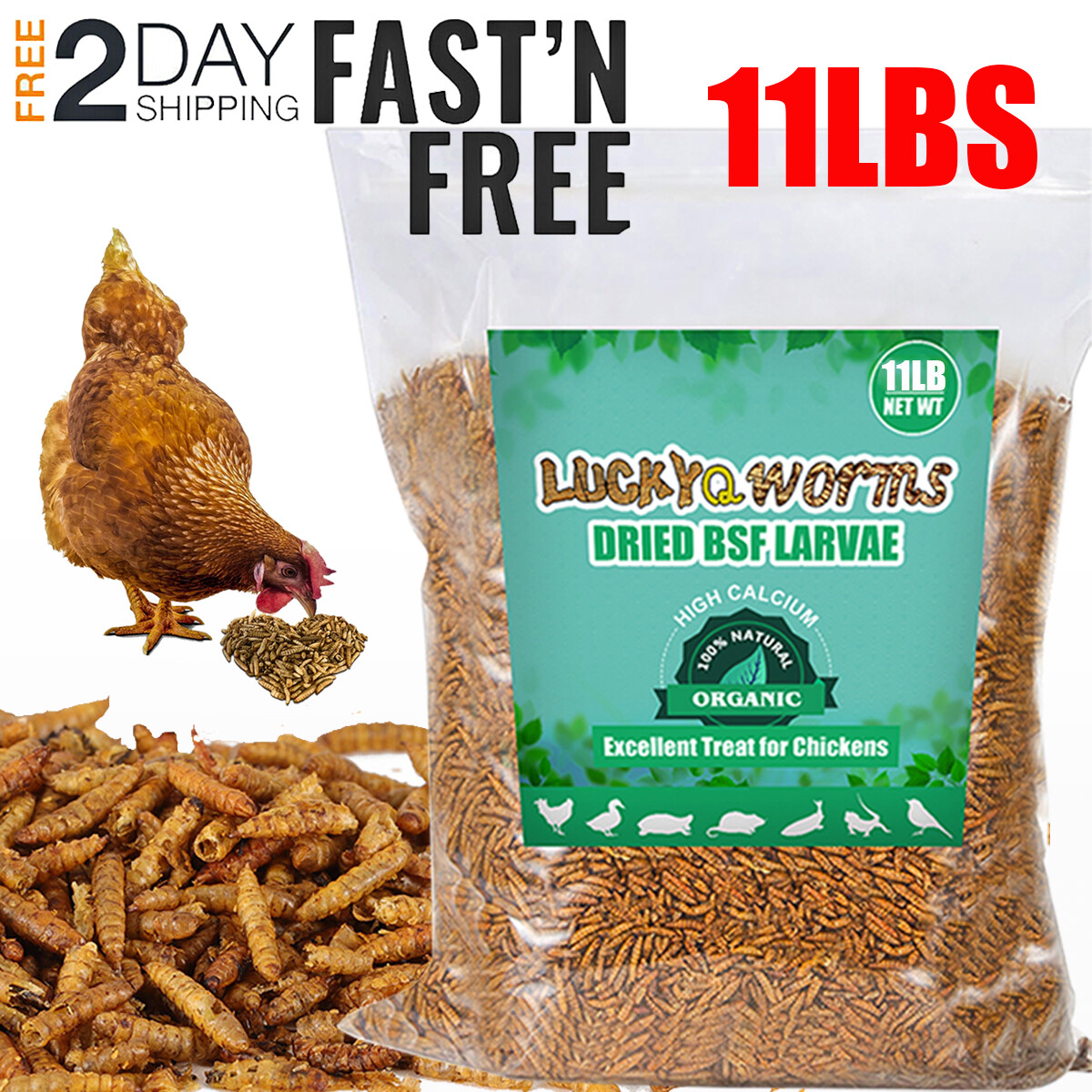 11 LBS Non-GMO Dried Black Soldier Fly Larvae Mealworms for Chicken Birds Treats