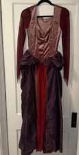 Hocus Pocus Costume Dress Size Small Disney