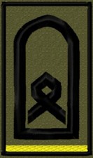 Bundeswehr Rangabzeichen Heer mit Zitronengelber Litze auf Klett