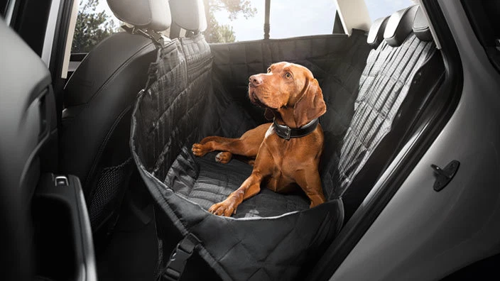 Audi clearance dog cover