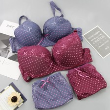 Push Up Lace Lingerie Set Bra Brief Embroidery Floral Support Fit 2PCS