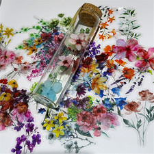50 Pieces Natural Flower Themed Transparent Stickers for Scrapbooking, Self-Adhe