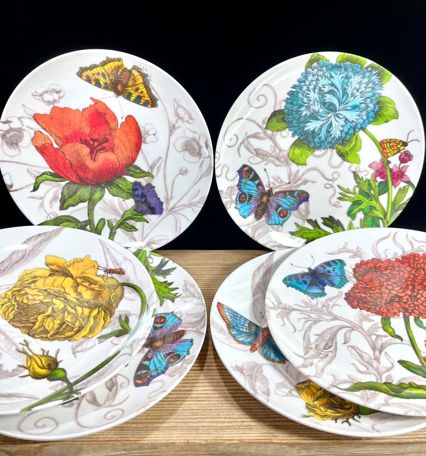 Set 6 Pier 1 One Imports Butterfly Floral Botanical Melamine 8.5” Salad Plates