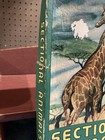 Vtg Sectional Animals 5 Puzzle Jigsaw by Milton Bradley  Pieces Each — photo 5