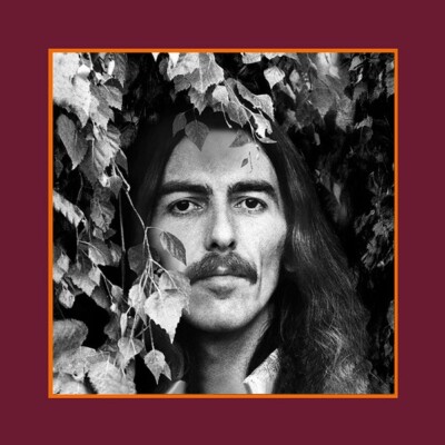 GEORGE HARRISON ''THE VINYL COLLECTION'' LP BOX SET NEU GEÖFFNET/GEÖFFNET (SIEHE FOTOS)