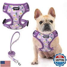 PUPTECK Dog Harness and Leash Set for Small Medium Dogs No Pull, Soft Mesh Ad