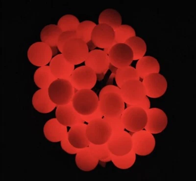 STUDIO 100 Red Berry LED Christmas String Lights Fairy Battery Operated Xmas Decoration