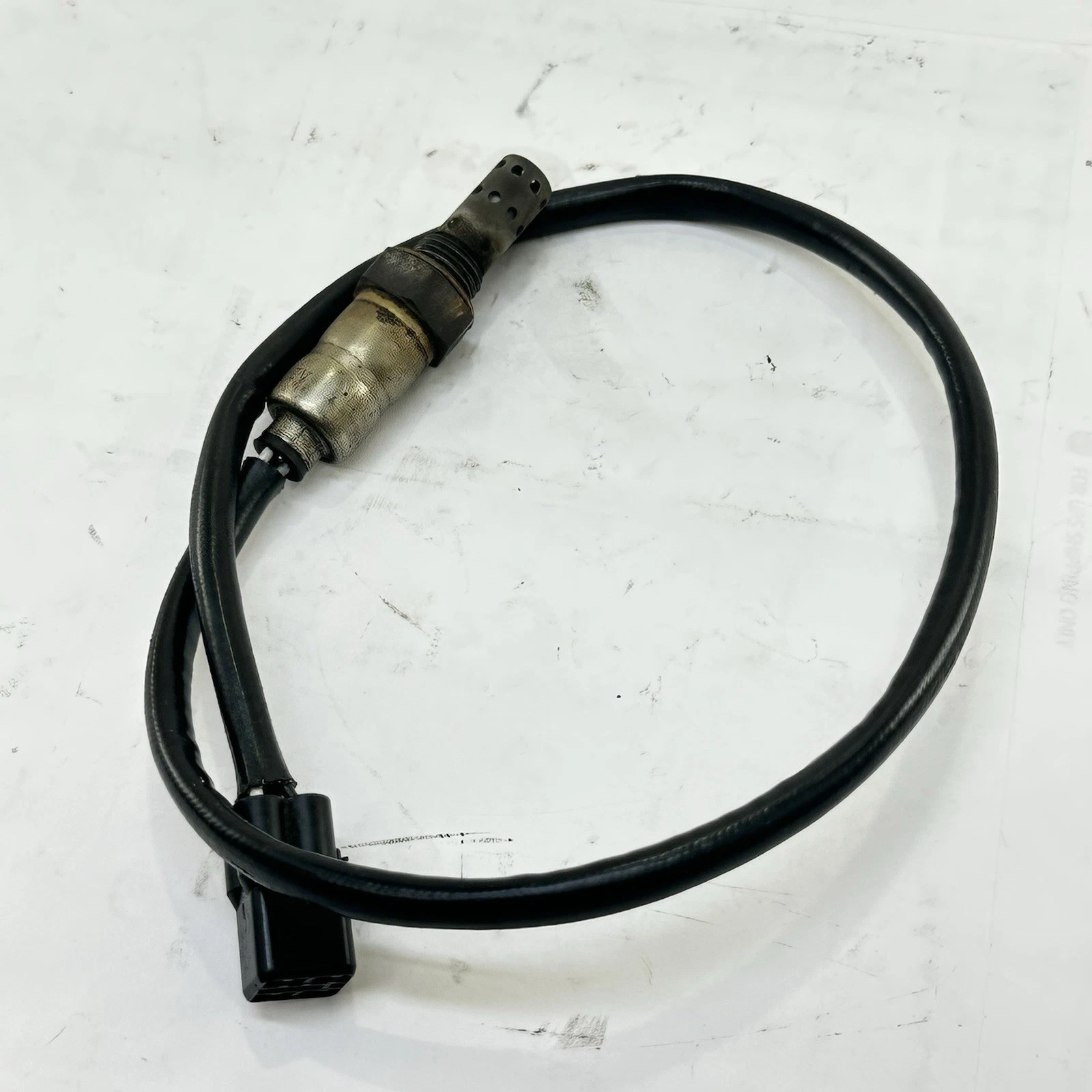 2013 - 2017 TRIUMPH Daytona 675R O2 Sauerstoffsensor Lambda Abgas Sensor Leitung