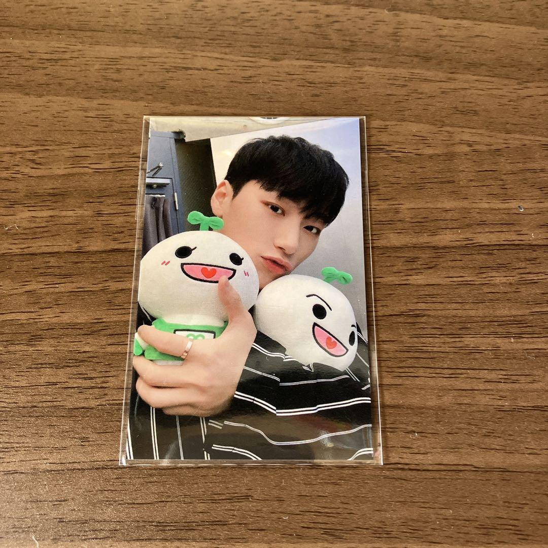 TEEZ-MON pop-up store ATEEZ ぬいぐるみ plush