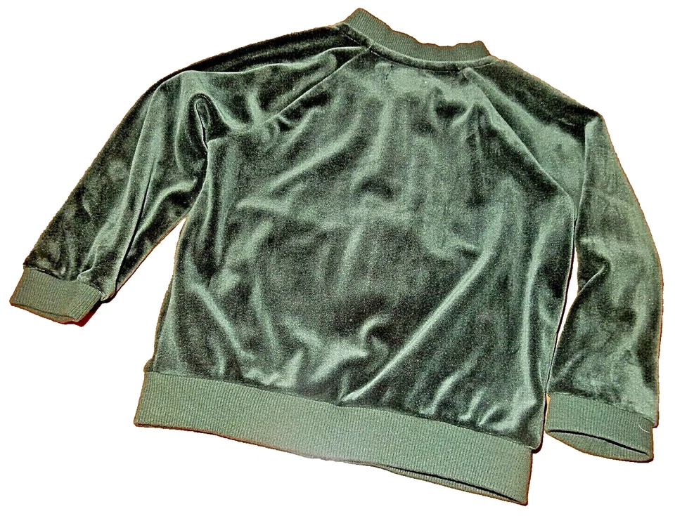 Conjunto de sudadera de terciopelo verde 3H LN 18-24M GYMBOREE 2 piezas sudadera chaqueta y pantalones Foto 3 de 4