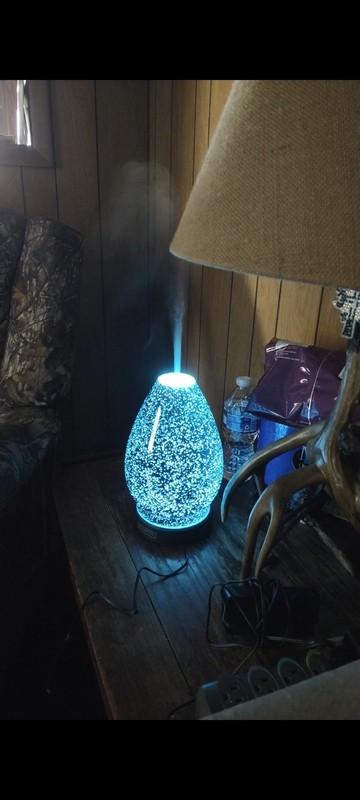 Scentsy Reflect Diffuser Set With Eucalyptus And Vanilla Lychee Oil