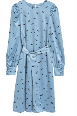 H&M Patterned Dress Birds Crane Buttoned Size US 12