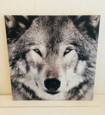 Great Wolf Lodge Wall Art Picture Nature 16  By 16  Animal Decor
