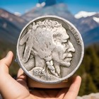 1929-D Full Date Buffalo Nickel Fast Free Shipping W/ Tracking