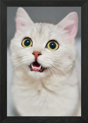 Gesicht Katze gerahmtes Wandbild Poster Leinwanddruck Bild