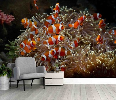 3D Coral Fish Close-up Wall Murals Wallpaper Murals Wall Sticker