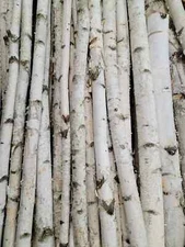 4 Pack - 4' -  1"-2" Diameter White Birch Poles