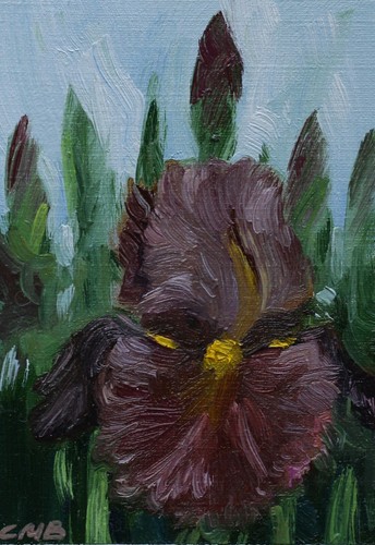 Brown Irises ACEO Original Oil Painting Collectible Card 2.5"x3.5" Miniature Art