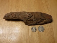 Potomac Bark Style Driftwood Aquarium Reptile Decor Insect Taxidermy 2024-005