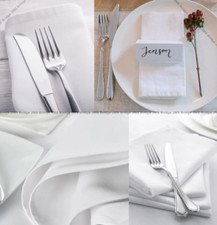 10 x Satin Band Design 100% Egyptian Cotton Napkins White Luxurious Cloth