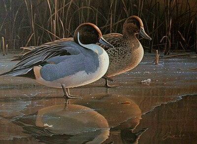 DANIEL SMITH 1991 NATIONAL FISH AND WILDLIFE FOUNDATION REFLECTION PRINT LE SIGN