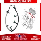 Fuel Injector Leak Off Pipe For Ford Transit MK7-8 2.2 Tdci Relay Boxer 2.2 Hdi