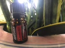 doTERRA Cinnamon Bark 5 mL Essential Oil  NEW & SEALED Exp 04/27