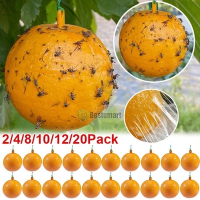 2-20Pcs Balls Fly Sticky Trap Insect Bug Catcher Strip Fly Sticker Non Toxic