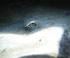 Bild 3 von 10