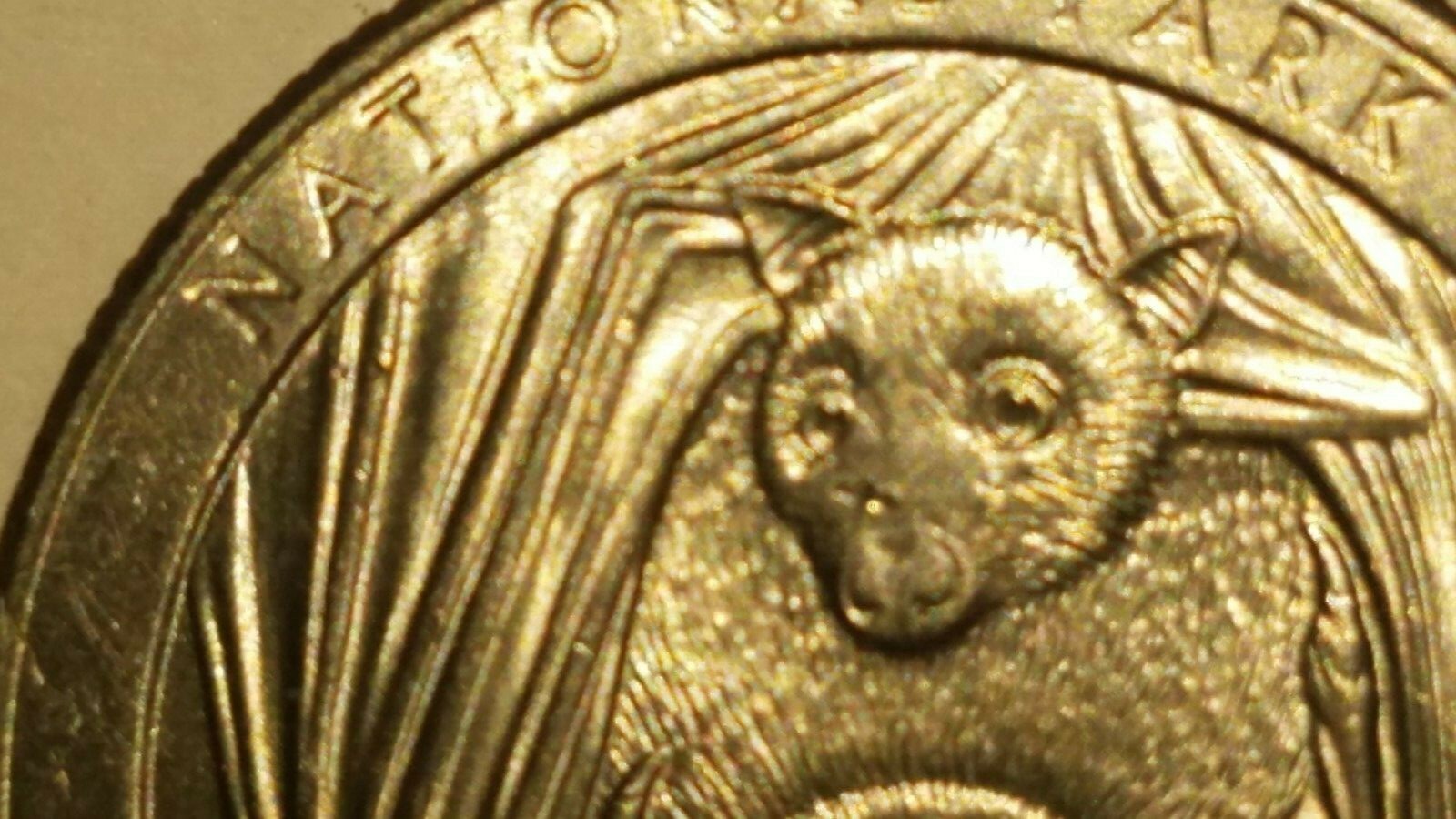 Picture 3 of 6