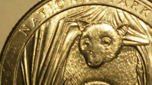 Error 2020 25 CENT QUARTER MINT NATIONAL PARK AMERICAN SAMOA Baby bat Nose - Picture 3 of 6