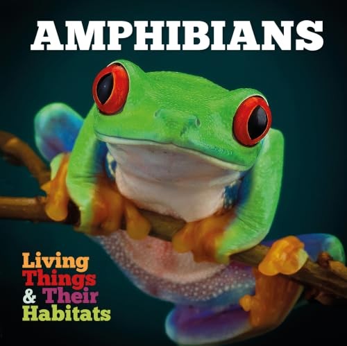 Amphibians Grace Jones - Image 8