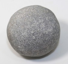 Schwamm, Hindia sp., Ordovizium, Raudklint, Gotland, Schweden -x657