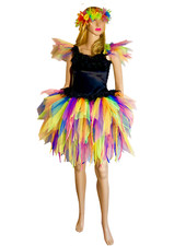 Women's Adult Fairy Dress Costume Black Velvet Rainbow Carnival