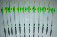 12 Gold Tip XT Hunter 400 Carbon Arrows Custom White Dip Crest/Blazer Vanes