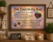 USA Veteran Made Paw Prints On My Heart Pet Memorial Removable Vinyl Print